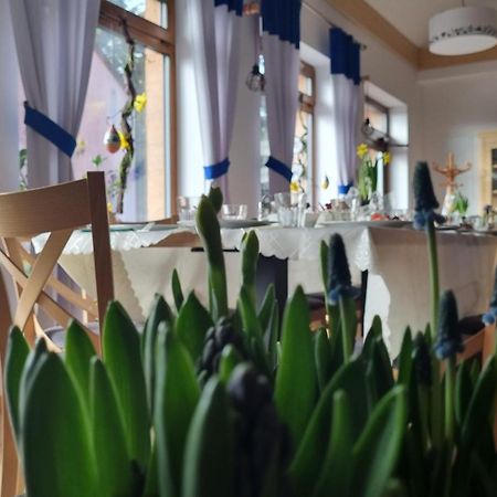 Zakatek Reja Apartamento Kartuzy Exterior foto